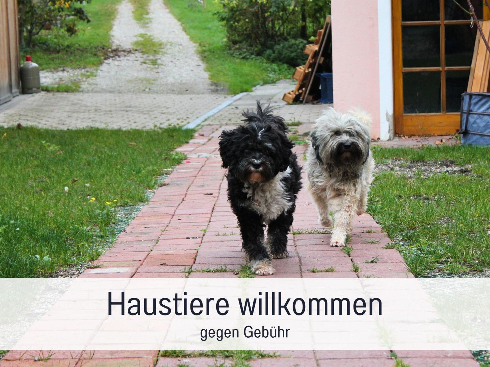 Seezeit Ferienwohnungen & Seminarhaus Am Ammersee Дисен-ам-Аммерзе Экстерьер фото